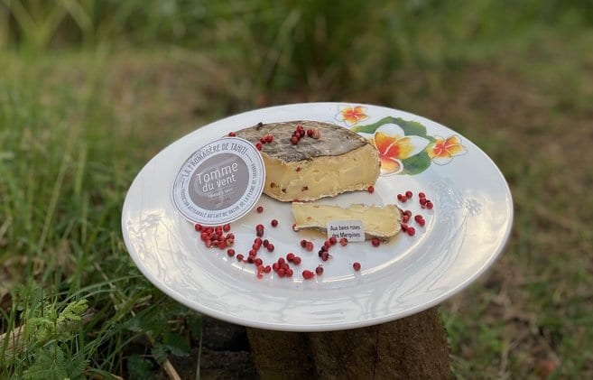 rsz_11image1
